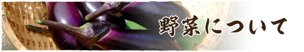 野菜について