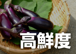 高鮮度