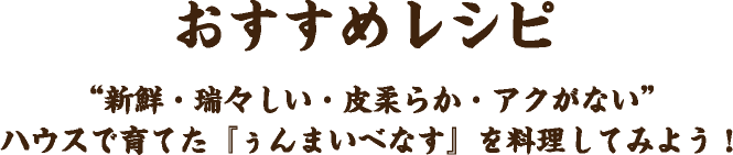おすすめレシピ “新鮮・瑞々しい・皮柔らか・アクがない”
        ハウスで育てた『ぅんまいべなす』を料理してみよう！