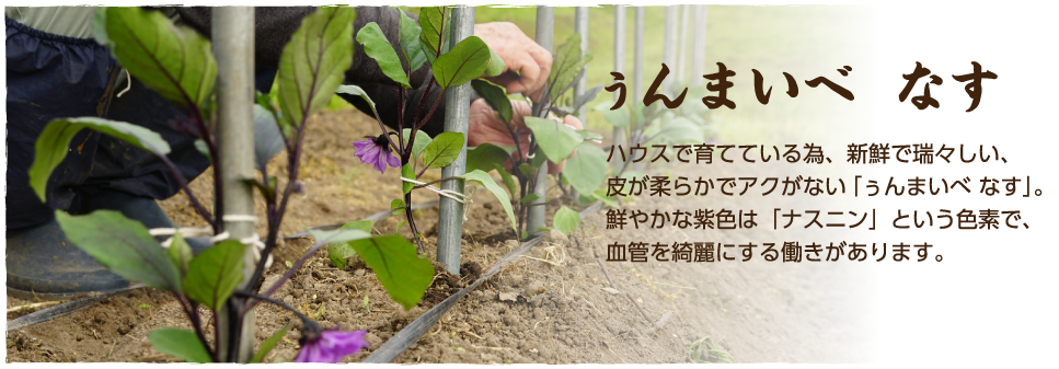 ぅんまいべ  なす