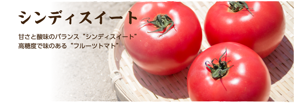 シンディスイート